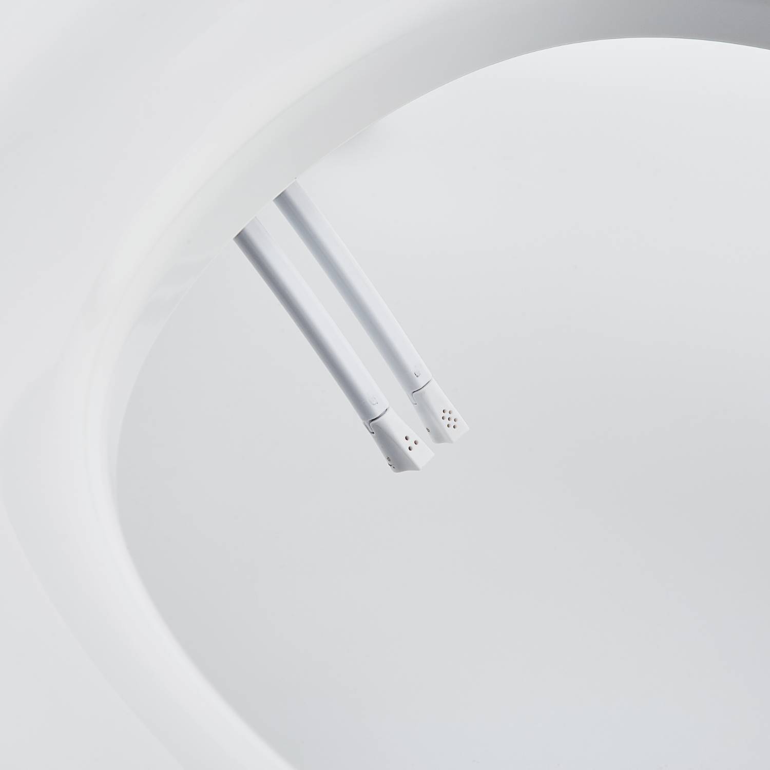 Toilet Seat and Bidet: image 7